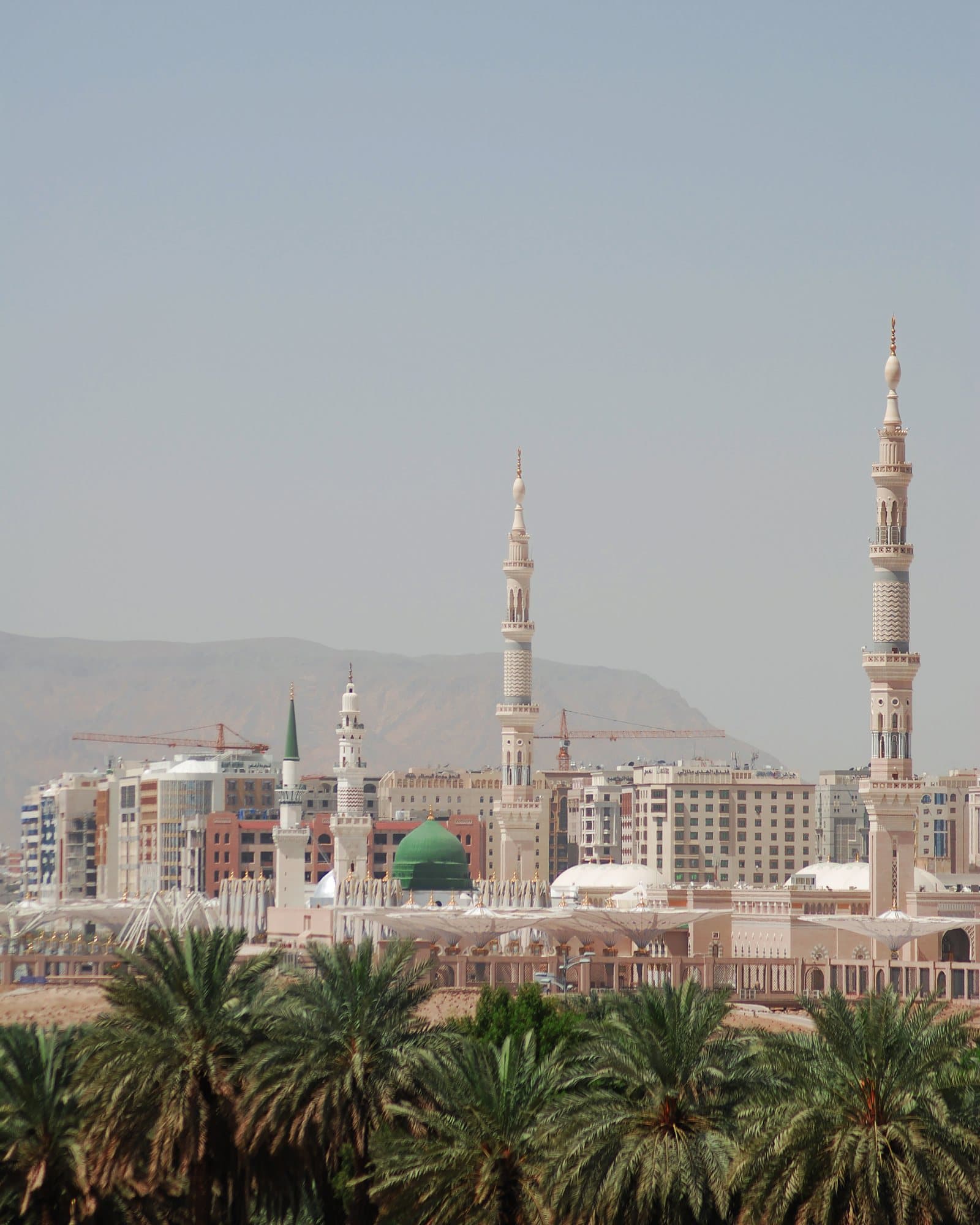 Masjid an-Nabawi seen beyond a grove of date palms